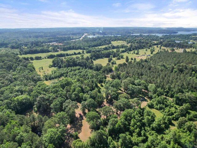 787 County Road 2201, Daingerfield, TX 75638 - photo 8
