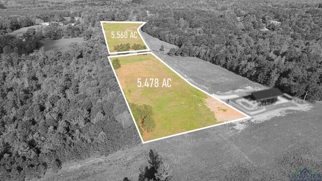 1112 Firetower Rd, Hallsville, TX 75650