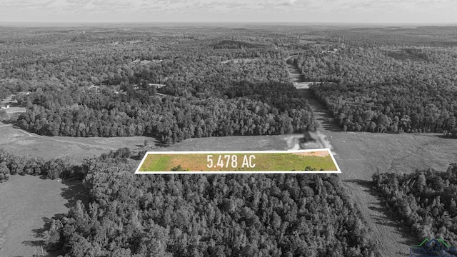 1112 Firetower Rd, Hallsville, TX 75650