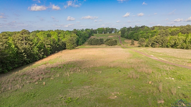 1112 Firetower Rd, Hallsville, TX 75650