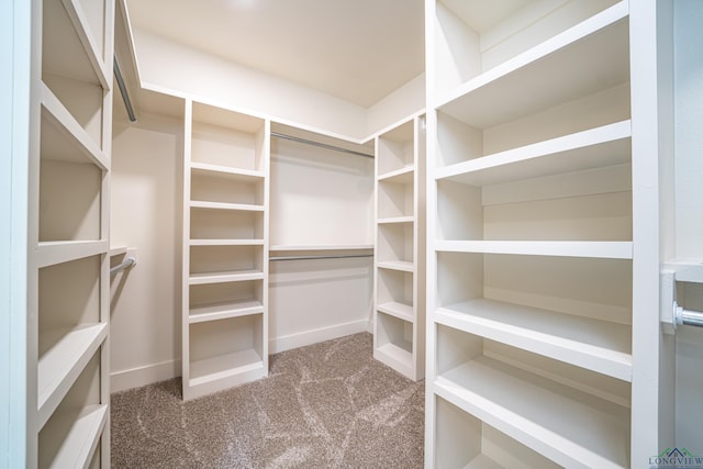 spacious closet with carpet floors