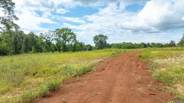 TBD E County Road 376, Henderson TX, 75652 land for sale