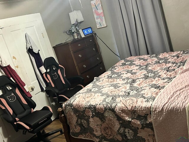 bedroom featuring wood-type flooring