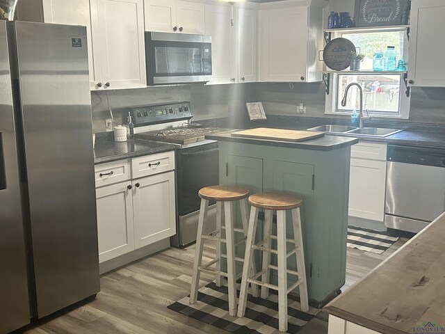 kitchen featuring white cabinets, stainless steel appliances, and sink