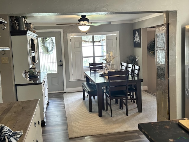 dining area featuring ceiling fan, dark hardwood / wood-style flooring, and ornamental molding