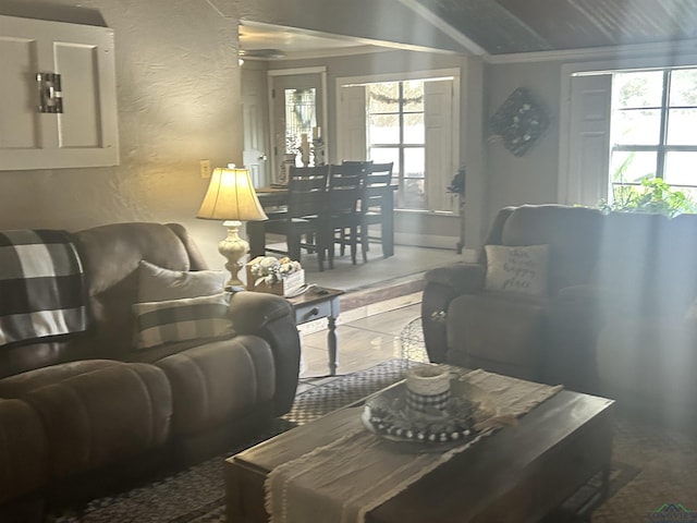 living room featuring lofted ceiling