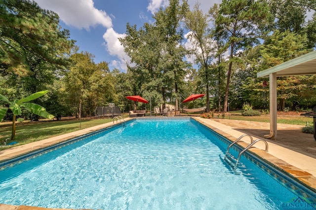 view of swimming pool with a yard