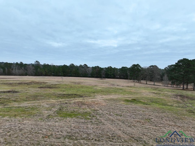 Listing photo 3 for TBD Fm 248, Bivins TX 75555