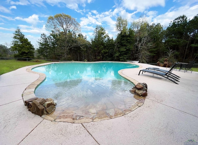 view of swimming pool with a patio area