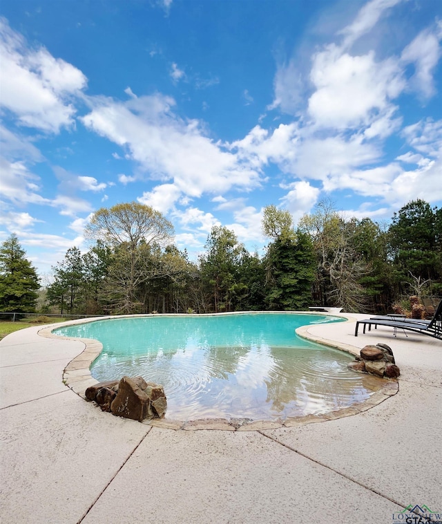 view of swimming pool