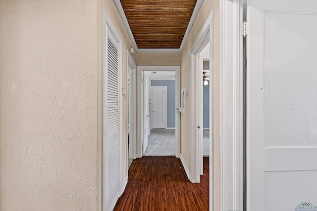 hall featuring dark hardwood / wood-style flooring and wood ceiling