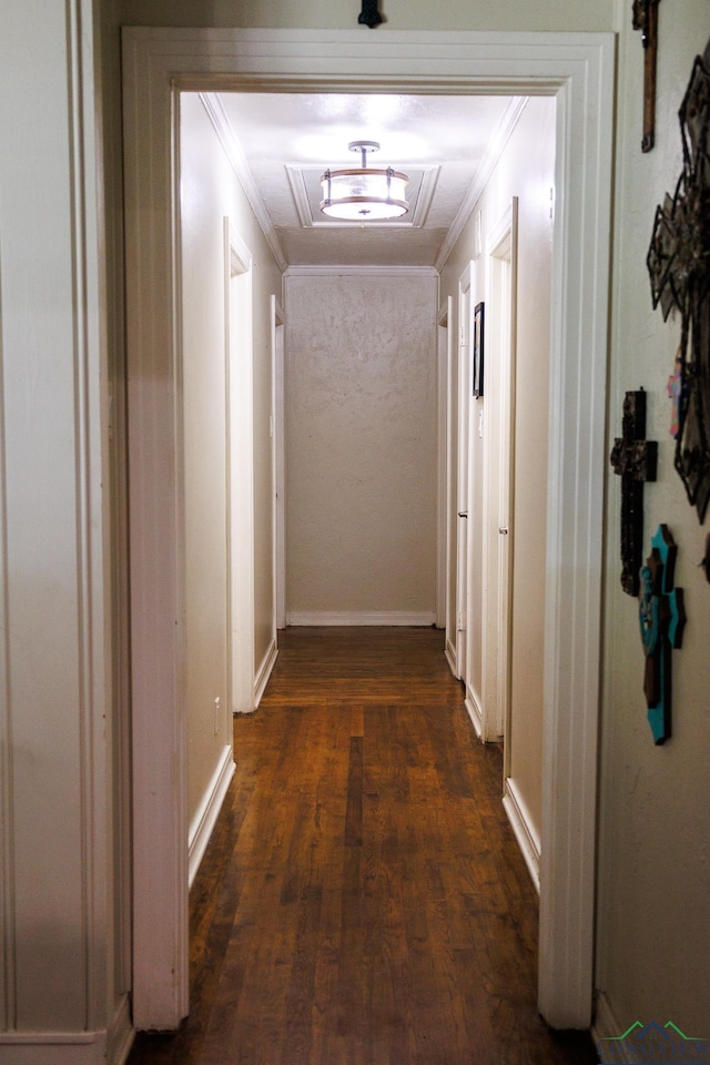 hallway with dark hardwood / wood-style flooring and ornamental molding