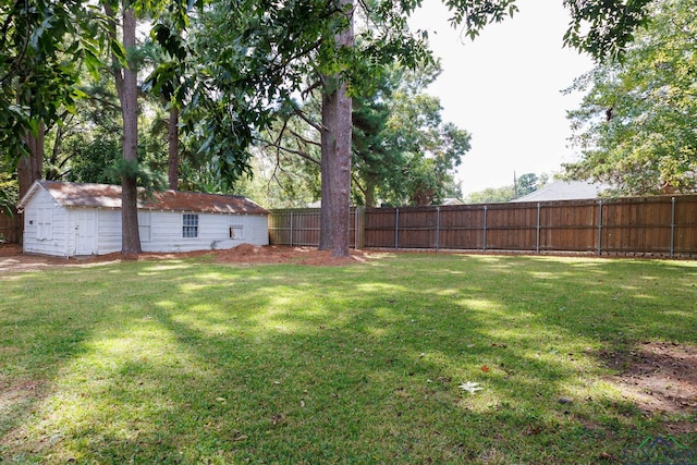 view of yard with a storage unit