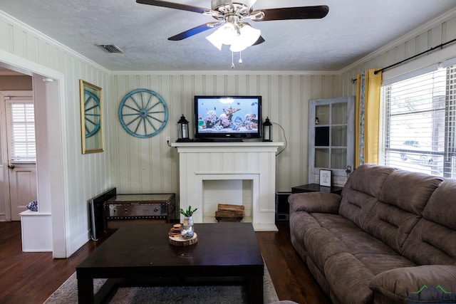 living room featuring dark hardwood / wood-style floors, ceiling fan, ornamental molding, and a textured ceiling