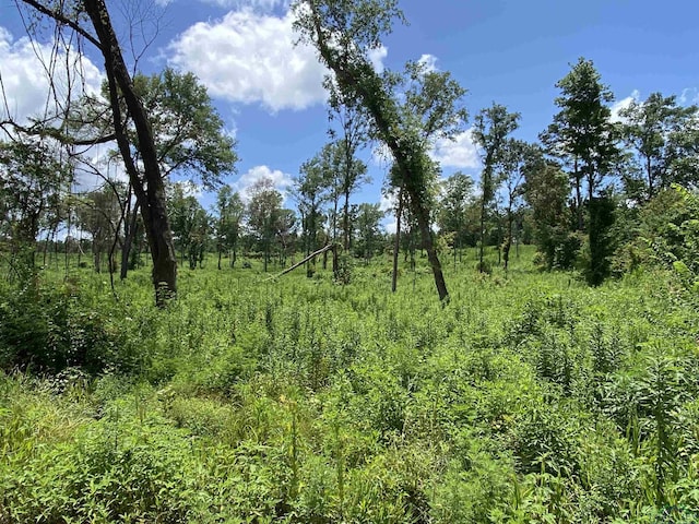 TBD Verbena Rd, Ore City, TX 75683 - photo 7