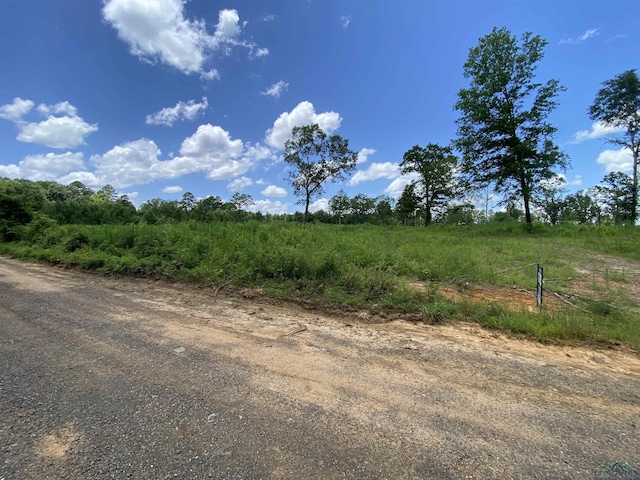 TBD Verbena Rd, Ore City, TX 75683 - photo 1