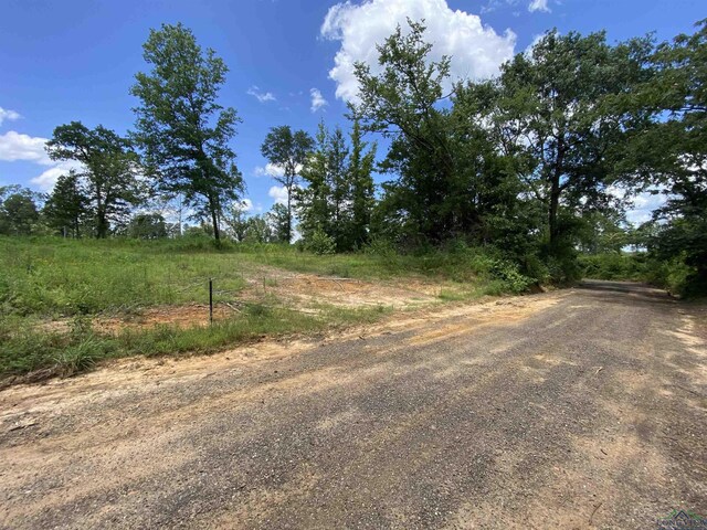 TBD Verbena Rd, Ore City, TX 75683 - photo 3