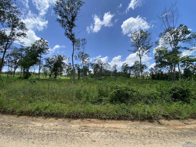 TBD Verbena Rd, Ore City, TX 75683 - photo 6