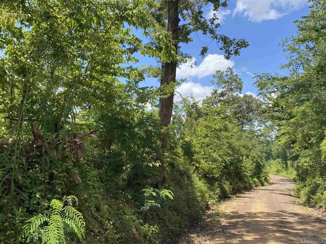 TBD Verbena Rd, Ore City, TX 75683 - photo 4