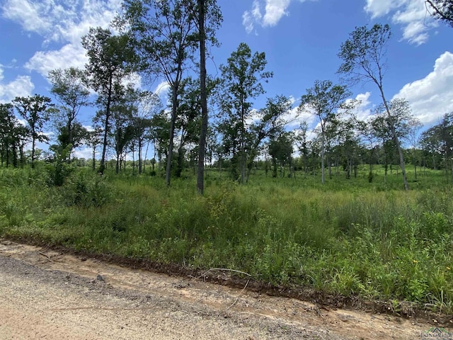 TBD Verbena Rd, Ore City, TX 75683 - photo 5