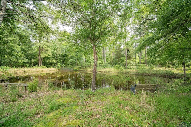 view of local wilderness with a water view