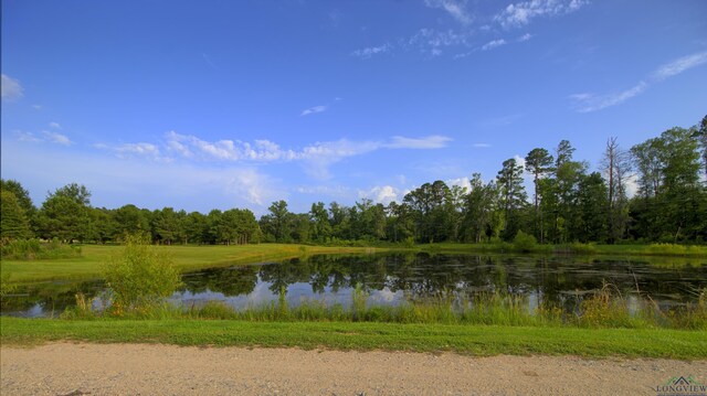14471 Fm 31, Marshall, TX 75672 - photo 9