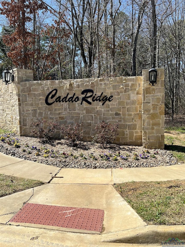 9295 Caddo Ridge Cv, Tyler TX, 75703 land for sale