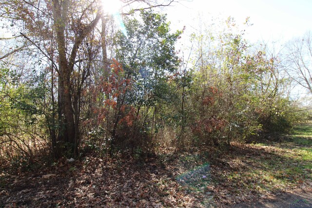 1520 Gay St, Longview, TX 75602 - photo 4
