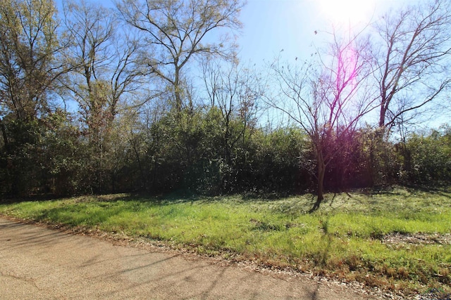 1520 Gay St, Longview, TX 75602 - photo 2