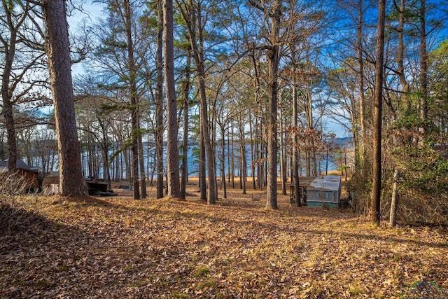 view of yard featuring a water view