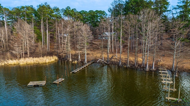 dock area with a water view