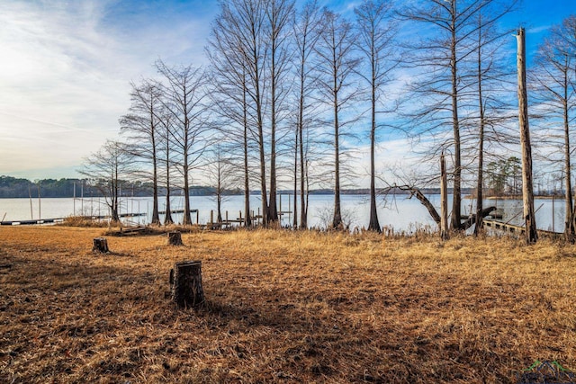 property view of water