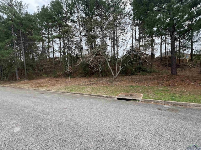 TBD Oak Creek Ridge Dr, Longview, TX 75605