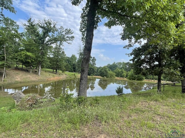 5897 Fm 2796, Gilmer, TX 75644 - photo 49