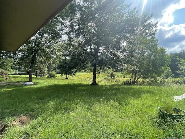 5897 Fm 2796, Gilmer, TX 75644 - photo 36