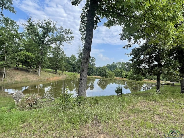 5897 Fm 2796, Gilmer, TX 75644 - photo 50