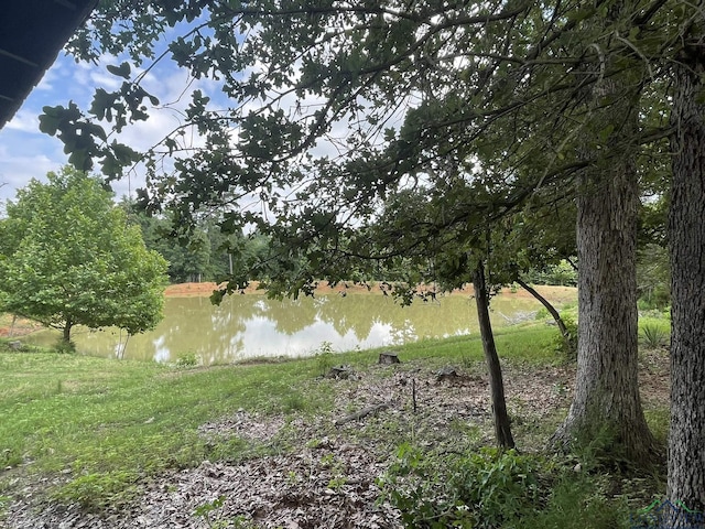 5897 Fm 2796, Gilmer, TX 75644 - photo 48