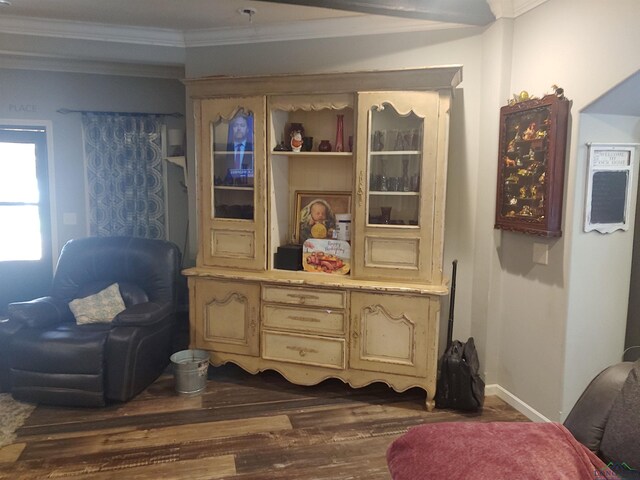 details featuring wood finished floors, baseboards, and ornamental molding