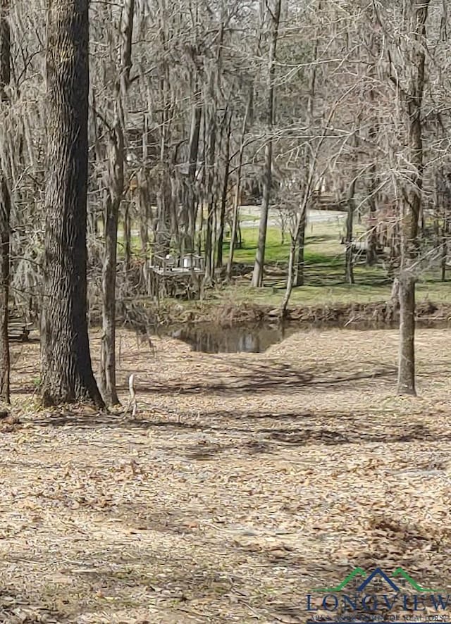 view of nature