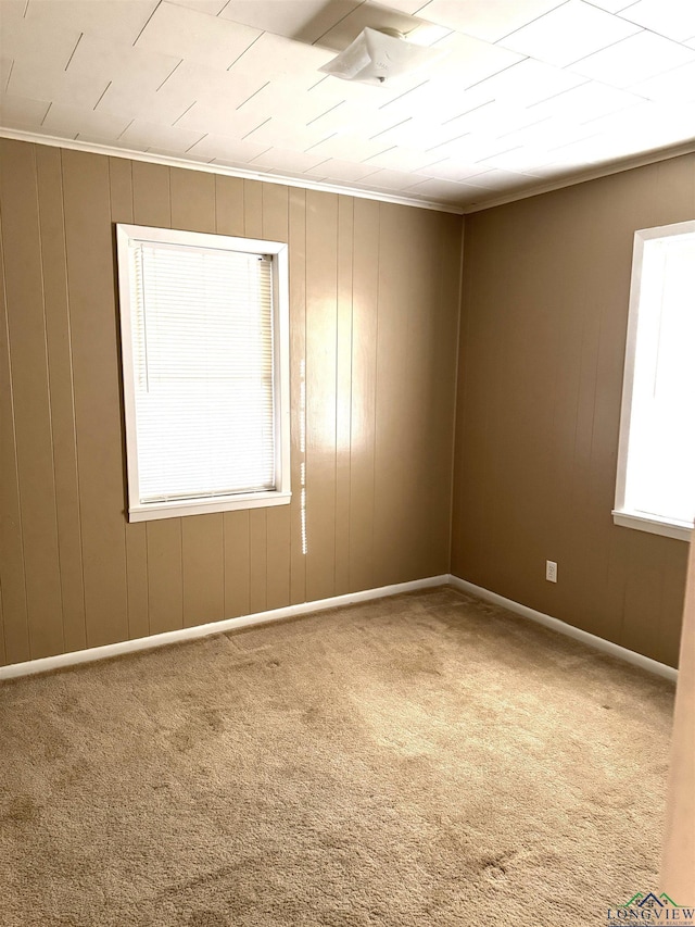 unfurnished room with carpet flooring, crown molding, and plenty of natural light