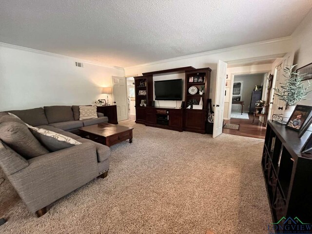 16 Pegues Pl, Longview, TX 75601 - carpeted living area featuring ornamental molding and a textured ceiling