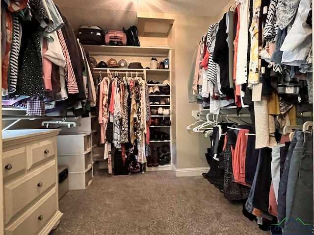 16 Pegues Pl, Longview, TX 75601 - walk in closet featuring carpet floors