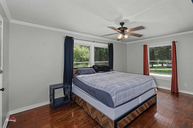 bedroom featuring multiple windows, dark hardwood / wood-style floors, and ceiling fan