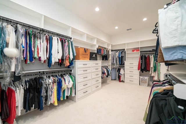 walk in closet with light carpet