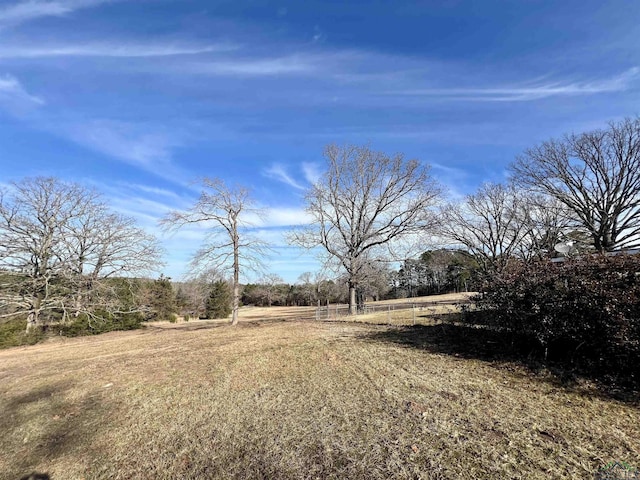 view of yard featuring a rural view