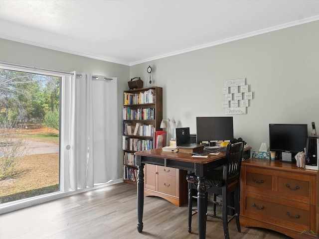 home office featuring ornamental molding and light wood-type flooring