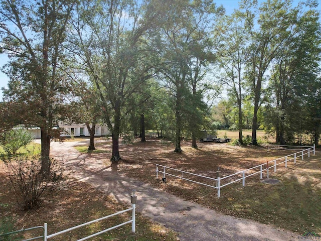 view of yard with a rural view