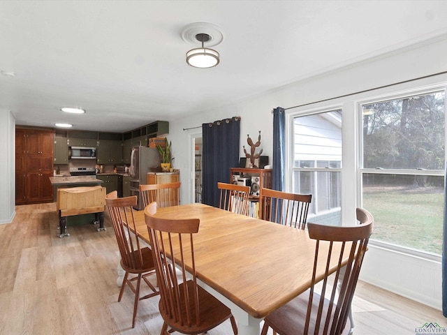 dining room with light hardwood / wood-style flooring