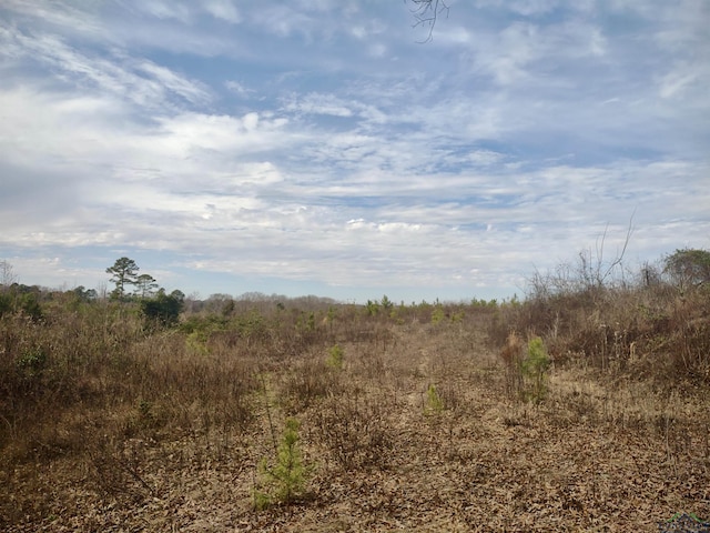 Listing photo 2 for TBD N US Highway 259, Daingerfield TX 75638