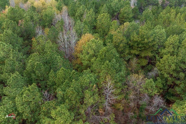 TBD Fm 782, Henderson, TX 75652 - photo 5